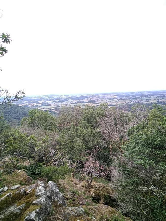 Camping La Foret Du Morvan Larochemillay 外观 照片
