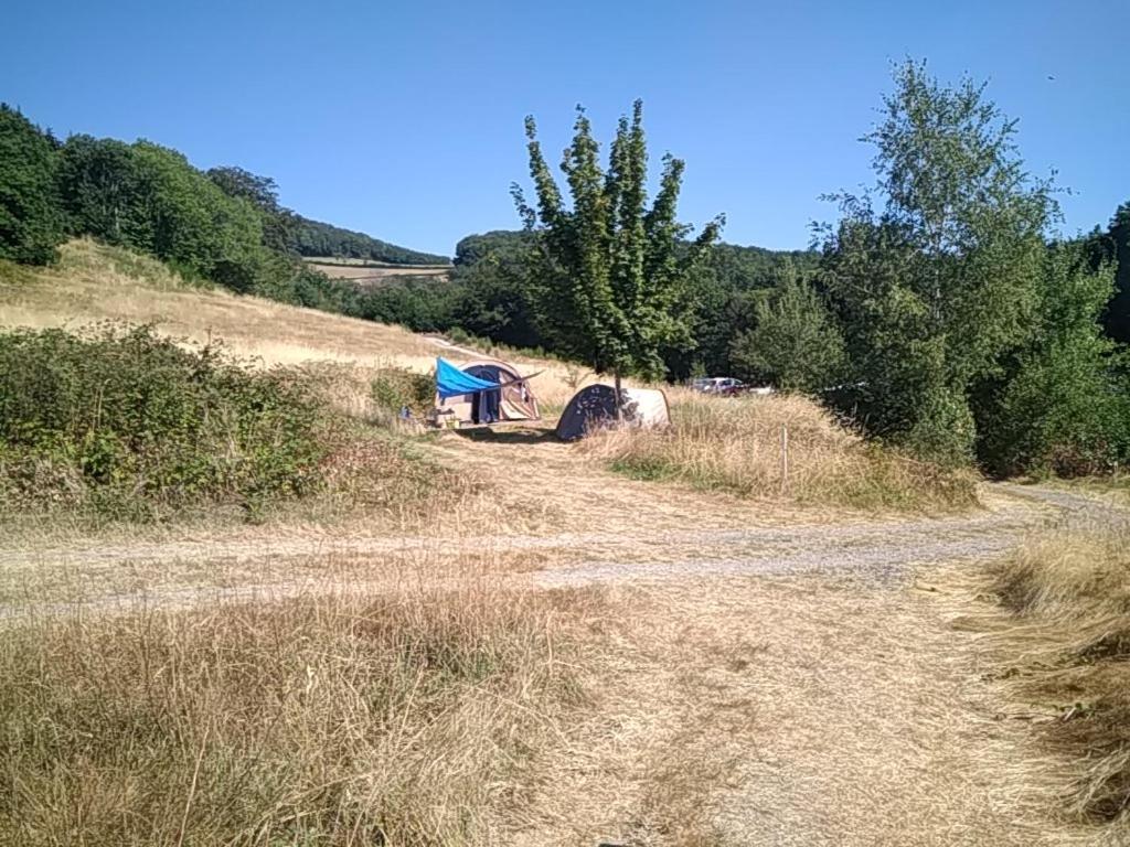 Camping La Foret Du Morvan Larochemillay 外观 照片